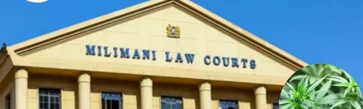 High court dismisses rastafarian petition seeking legal use of cannabis for religious purposes